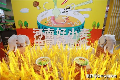 一粒麦子的故事 首届郑州食品博览会白象食品成网红打卡点
